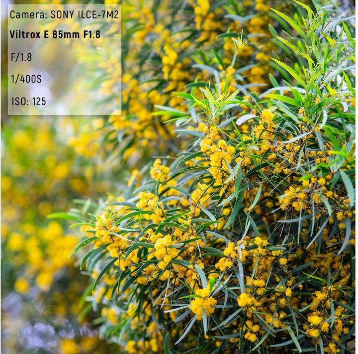 Actual product image Viltrox AF 85 mm F/1.8 Mark II (Sony E, full size)