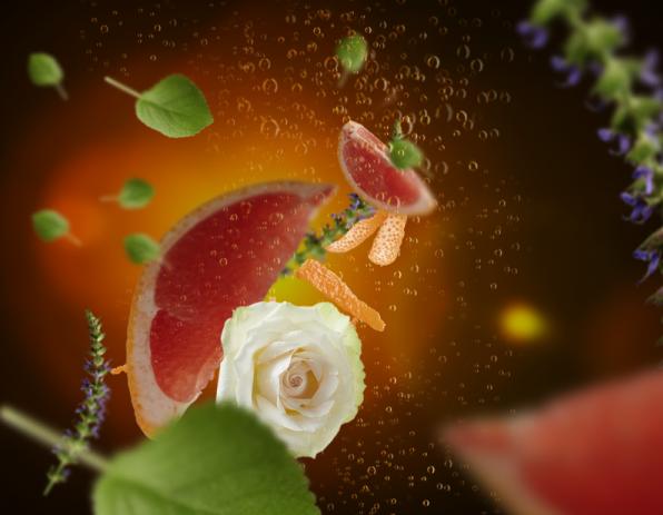 Produktbild Maison Berger Pétillance Exquise