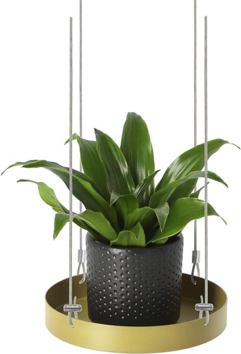 Image du produit Esschert Design Plateau décoratif