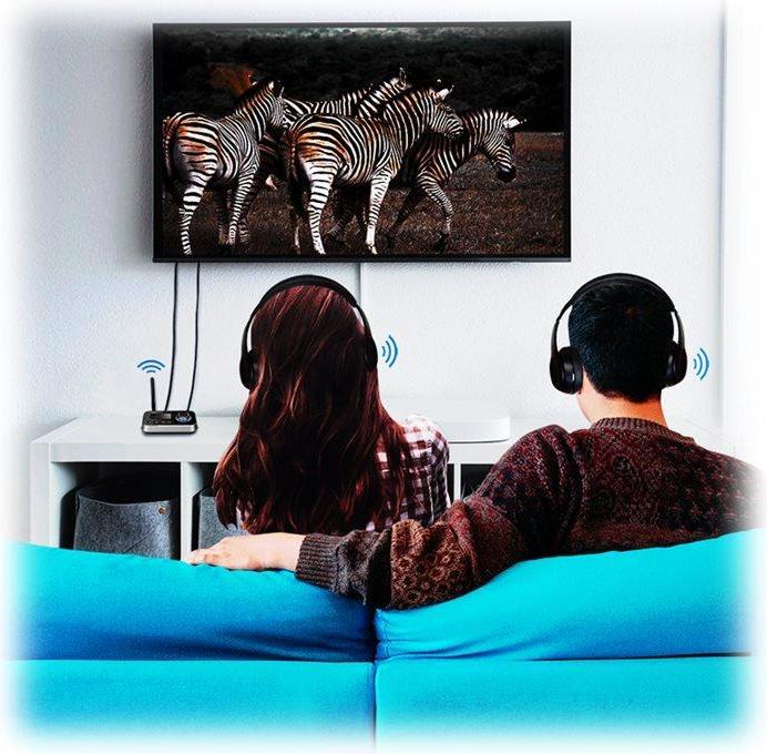 Actual product image LogiLink BT0062 (Transmitter & Receiver)