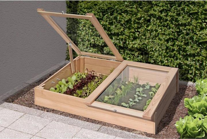 Immagine prodotto Neogard Larice