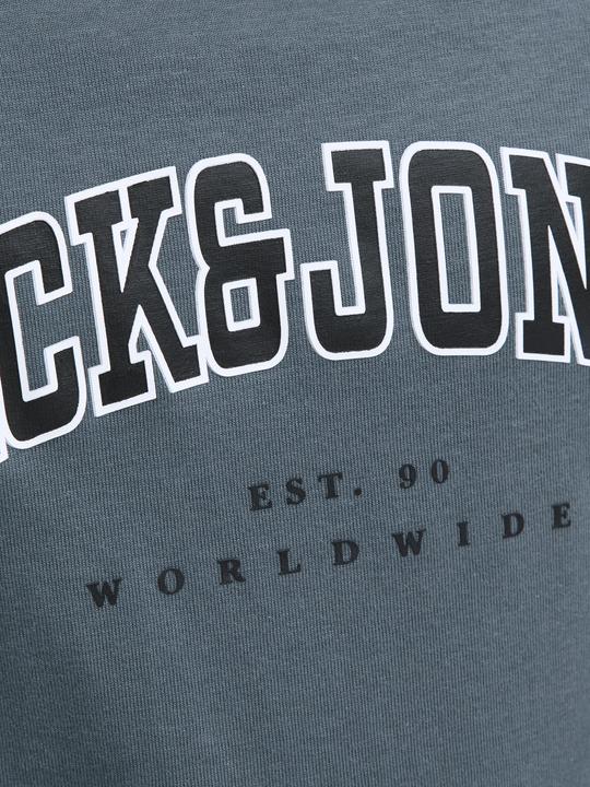 Actual product image Jack & Jones Jjecaleb Varsity Tee Ss O-Neck Noos Jnr (140)