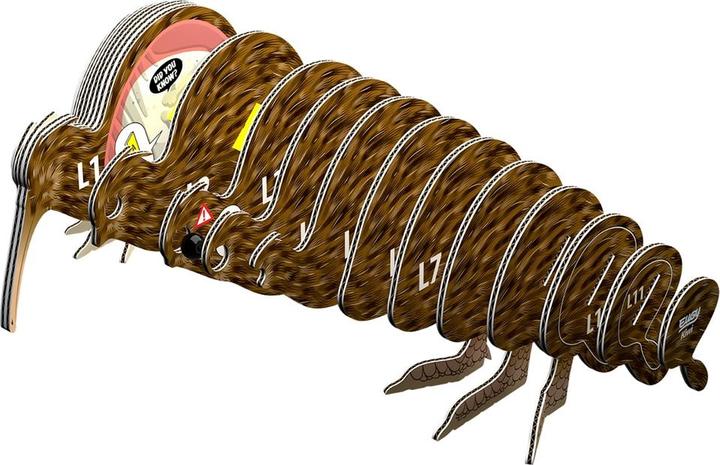 Actual product image Eugy 3D Brown Kiwi Craft Set (MQ6)