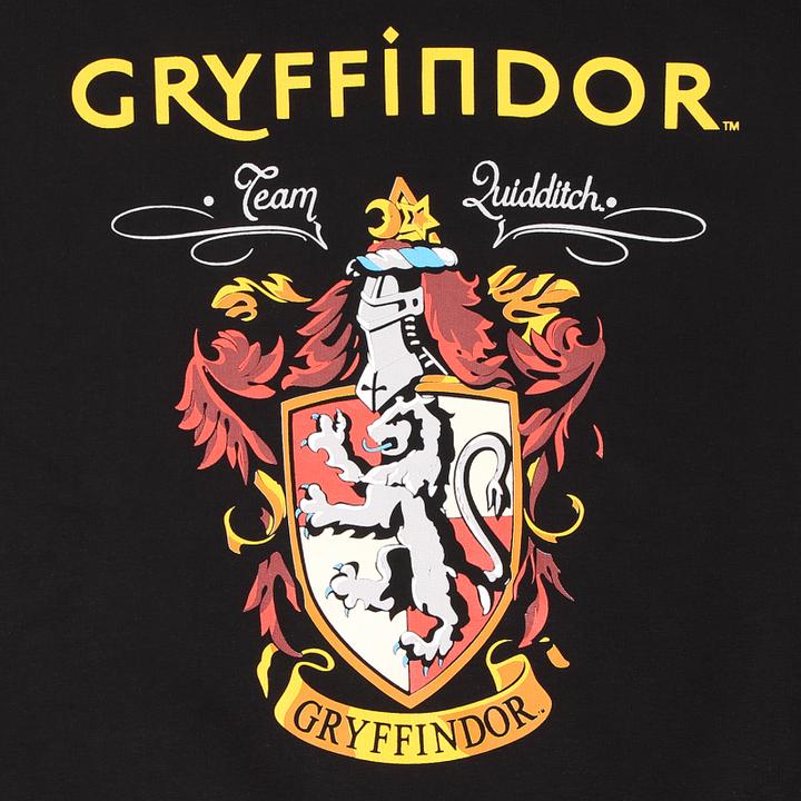 Produktbild - Property Of Gryffindor (SuperHeroes Inc. Contrast Pullover) (L)