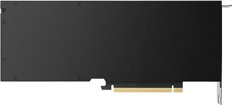 Actual product image Dell NVIDIA RTX 5000 ADA GENERATION (32 GB)