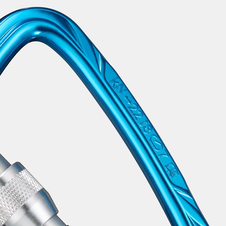 Actual product image Simond Snap hook D-shape aluminium screw lock