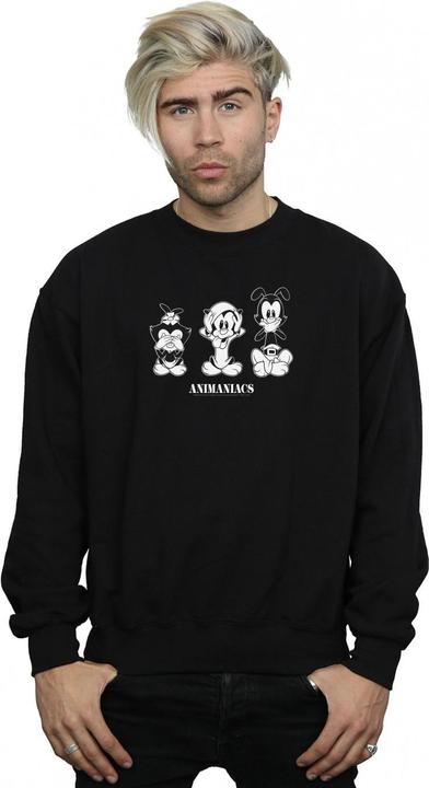 Actual product image Animaniacs Mens Three Evils Sweatshirt (M)
