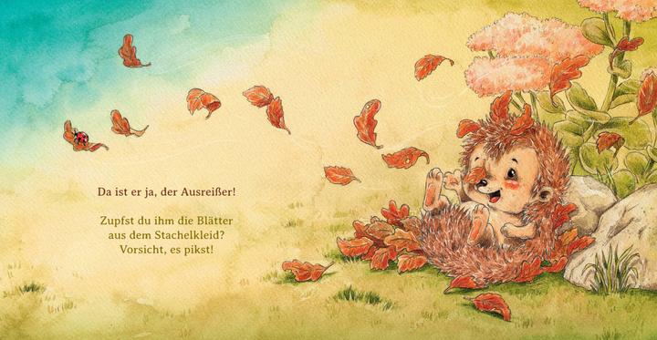 Produktbild Schlaf schön, kleiner Igel (Deutsch, Sophie Schoenwald, 2018)