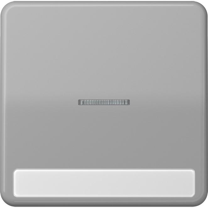 JUNG, Zubehör Schalterprogramm, Kontrollwippe Schalter CD gr glz CD590NAKO5GR