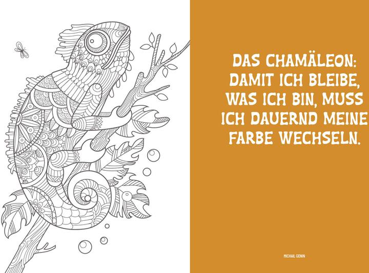 Produktbild Colorful Mandala – Mandala – Dschungeltiere