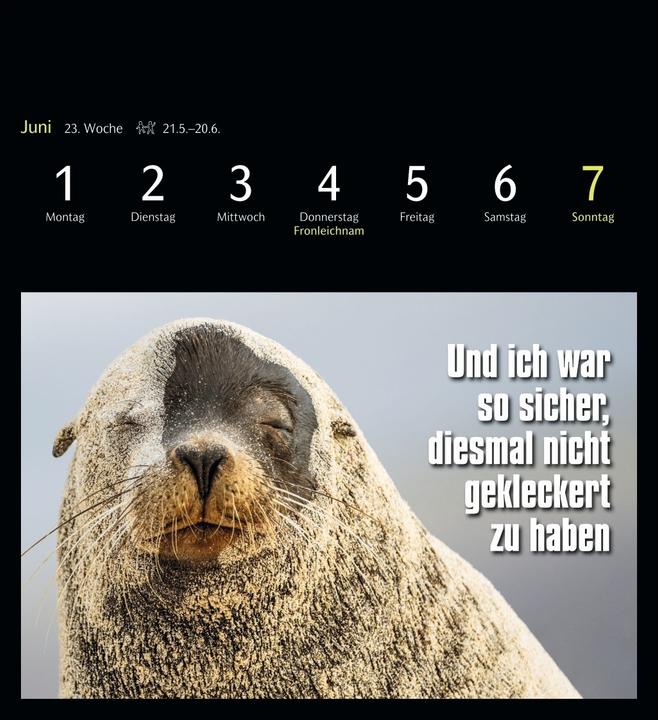 Actual product image Harenberg Animal Memes Postkartenkalender 2026 - 53 tierisch witzige Postkarten (Hardcover, English, German)