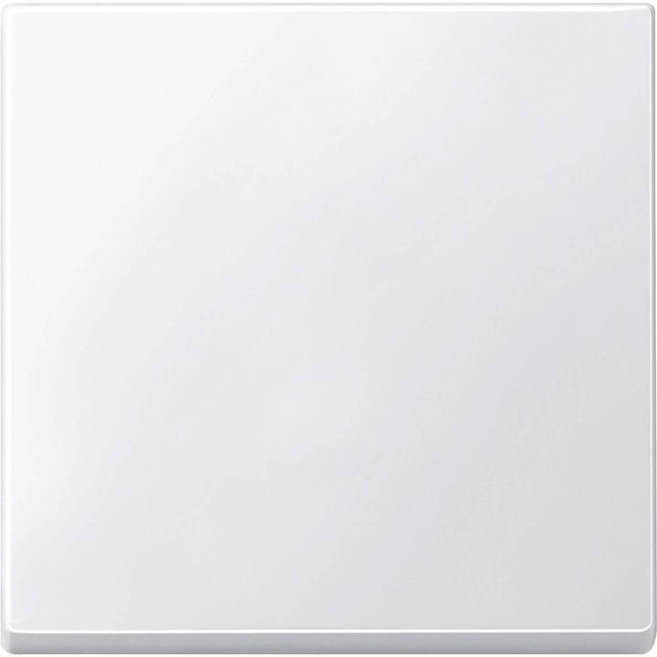 Actual product image Merten Rocker