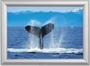 Produktbild Jansen Klapprahmen (59.4 x 84.1 cm)