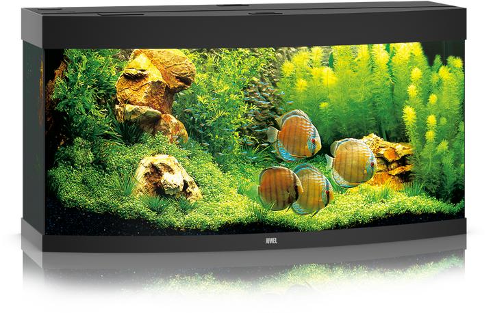 Produktbild Juwel Aquarium Aquarium Vision 260 121x46x62cm schwarz (260 l)