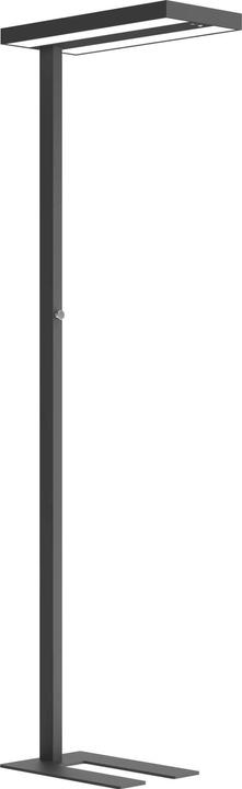 Contini Lampada da terra per ufficio (4600 lm)