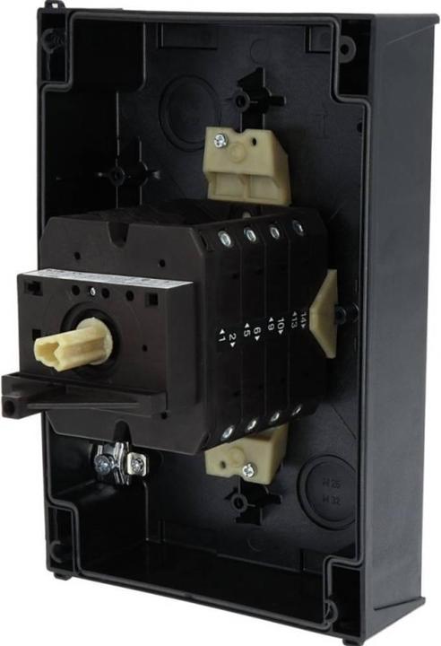 Actual product image Eaton 6 pole cam isolator switch,63A Ie