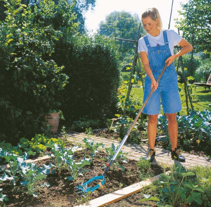 Produktbild Gardena Sternfräse