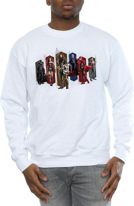 Actual product image Mens Justice League Movie Team Hexagons Sweatshirt (M)