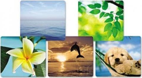 Actual product image Fellowes Ocean (S)