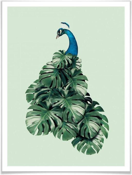 Produktbild Trenddeko Monstera Bird (100 x 120 cm)