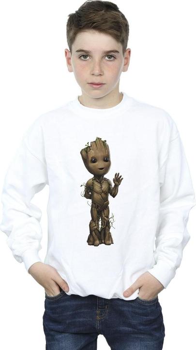 Image du produit - Sweat AM GROOT WAVE POSE - Garçon (116)