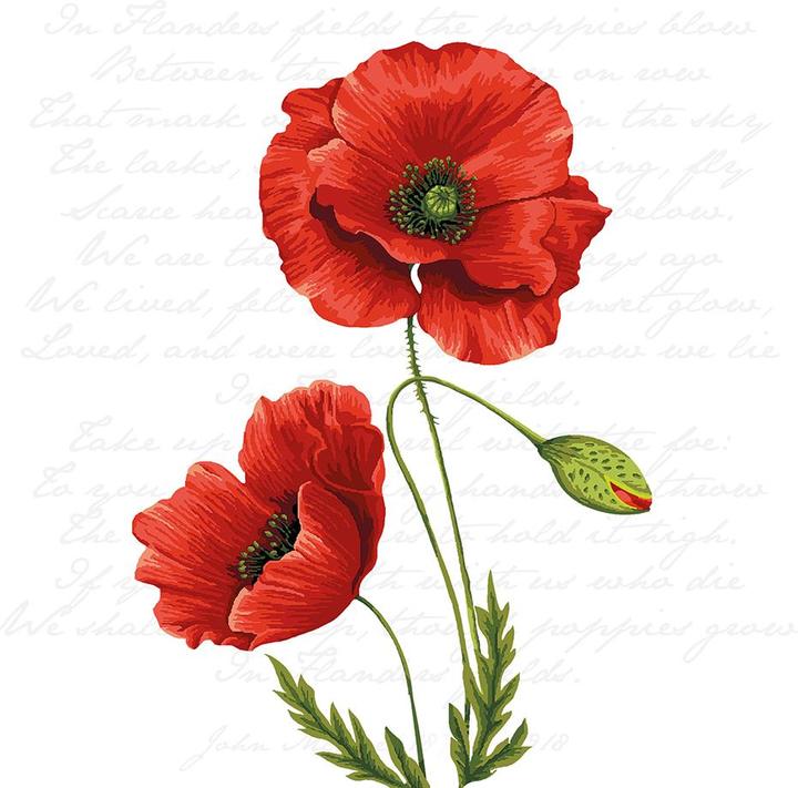 Produktbild Ambiente Proud (20 Stk., 33 x 33 cm)