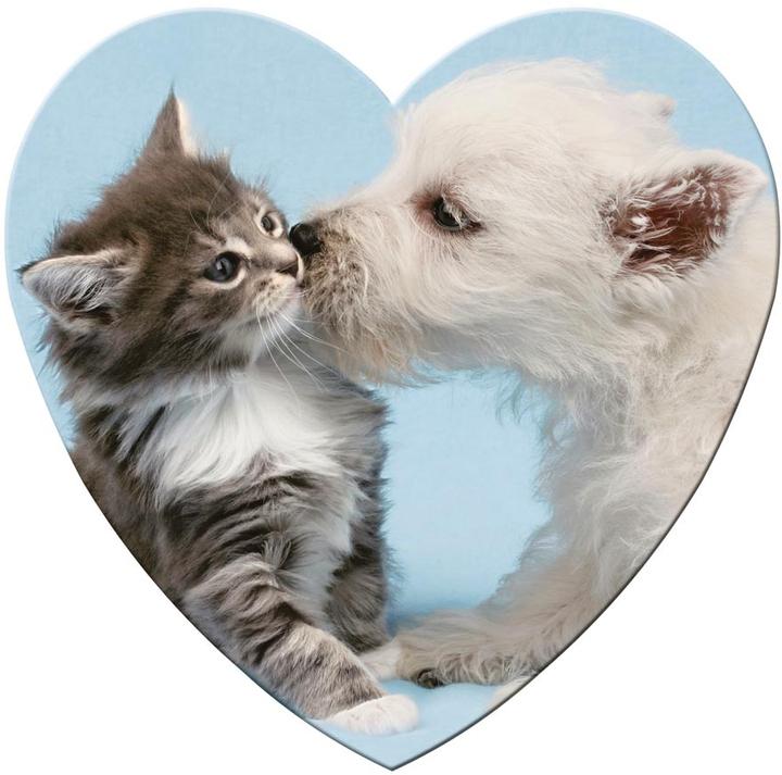 Produktbild Ravensburger 15195 (500 Teile)