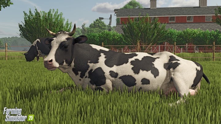 Immagine prodotto Giants Software Farming Simulator 25 (PC, DE)