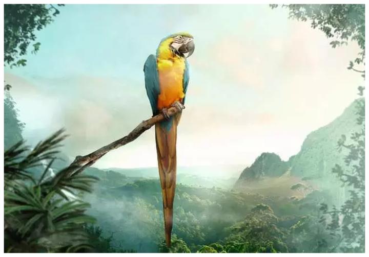 Image du produit Ravensburger Puzzle (99 pièces)