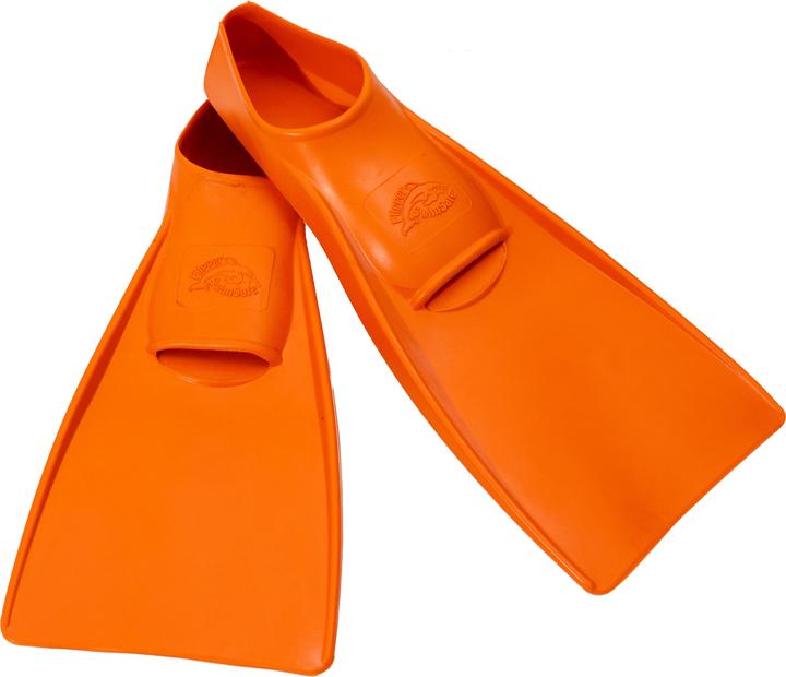 Flipper Swimmsafe Zwemvin