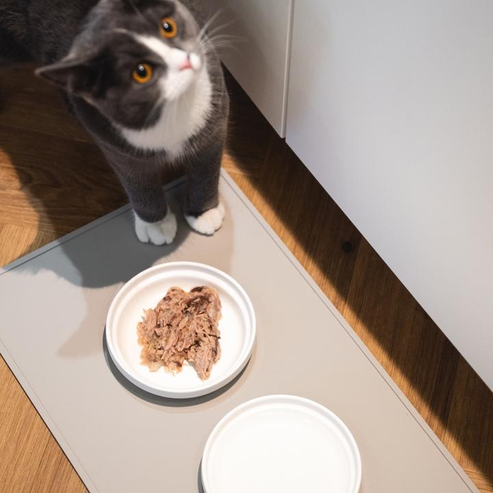 Produktbild LucyBalu BOWL Porzellan Katzennapf
