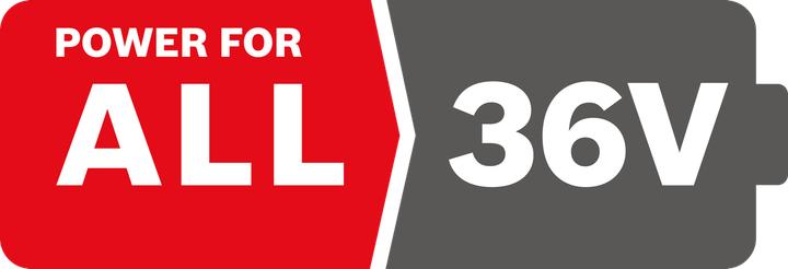 Actual product image Bosch Home & Garden Spare battery 36V/2.0AH (36 V)