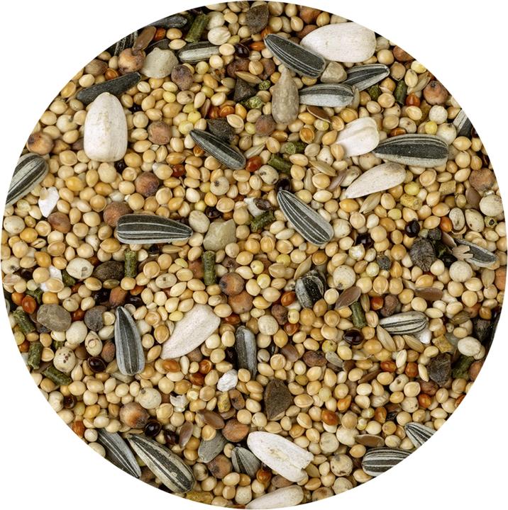 Produktbild Vitakraft Vita Menü für Grosssittiche (1 x, 1 kg)