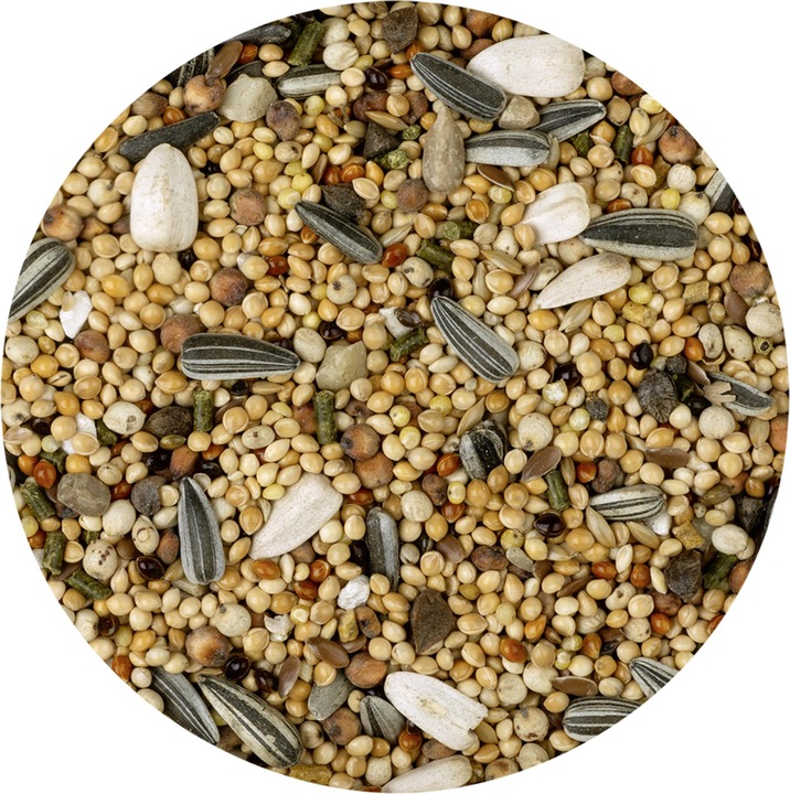 Actual product image Vitakraft Vita menu for large parakeets (1 x, 1 kg)