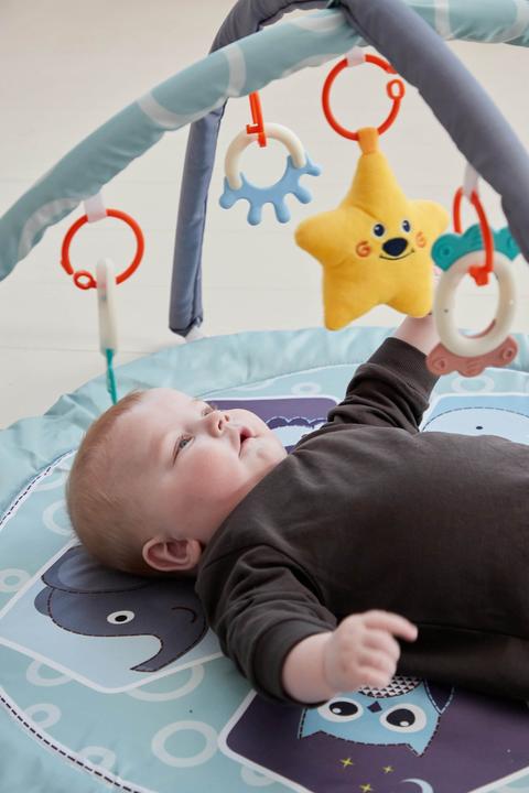 Actual product image Scandinavian Baby Products Zoo Activity Gym