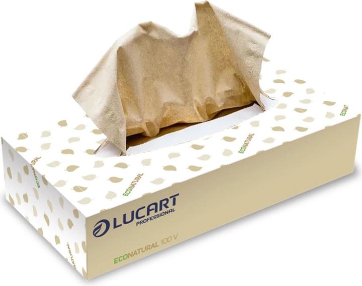 Lucart Cosmetic tissues 2-ply Econatural