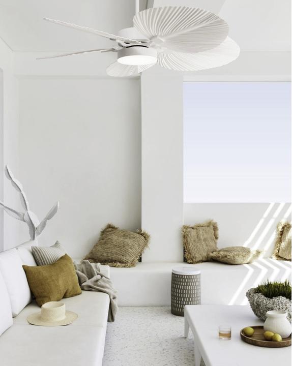 Actual product image Beacon Bali