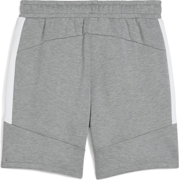 Image du produit Puma Short teamEVOSTRIPE (L)