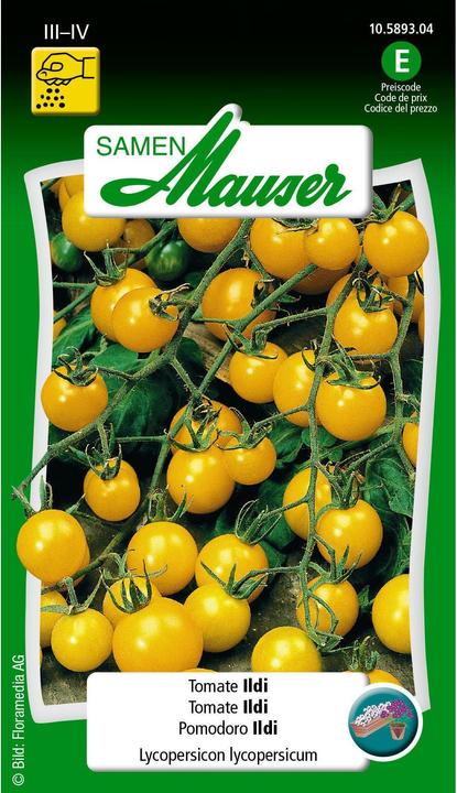 Produktbild Samen Mauser Ildi (Gemüsesamen)