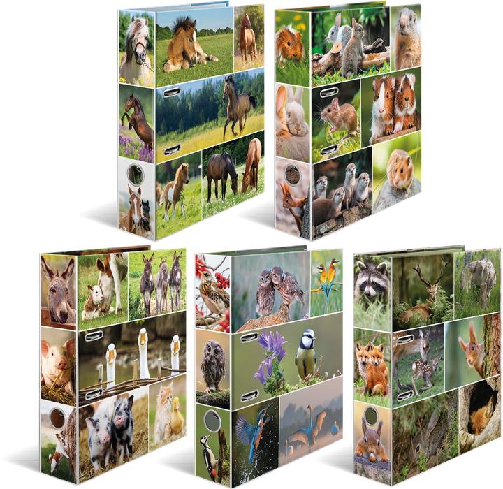 Image du produit HERMA Dossier A4 Motif (A4, 70 mm, 10 pièce(s))