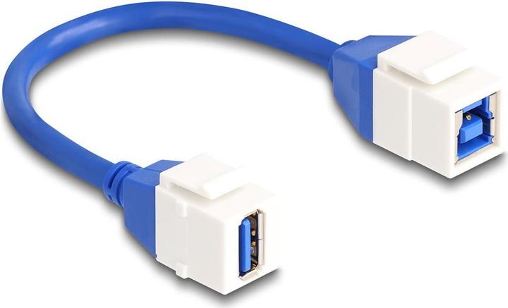 Produktbild Delock Keystone Modul Kabel USB 5 Gbps Typ-A Buchse zu USB T (0.20 m)