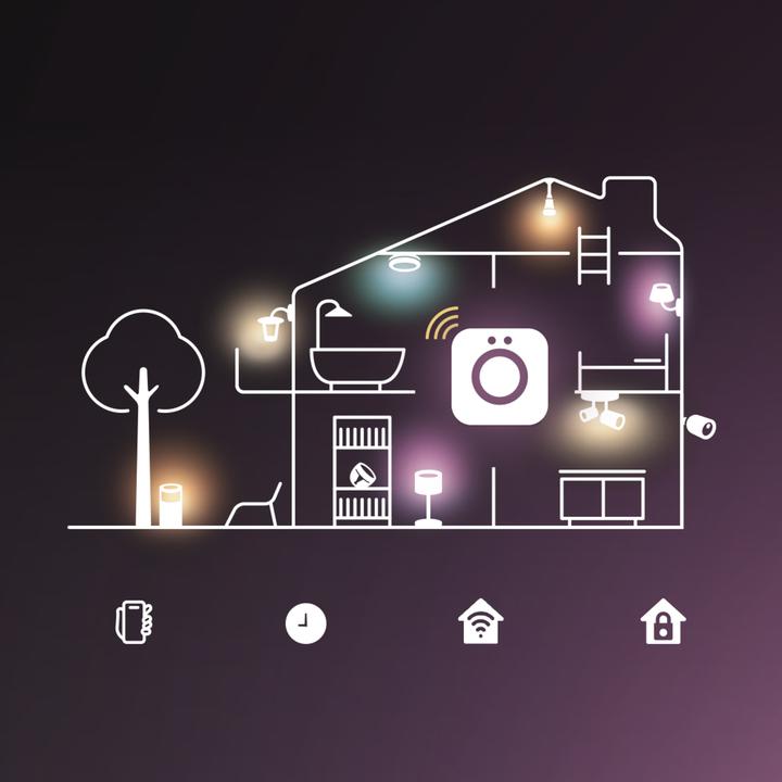 Image du produit Philips Hue Gradient de flux (RGBW, Multicolore, 300 cm, Intérieur)