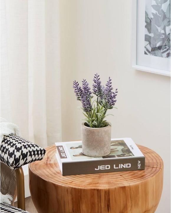 Immagine prodotto EGLO Pianta artificiale (22 cm)