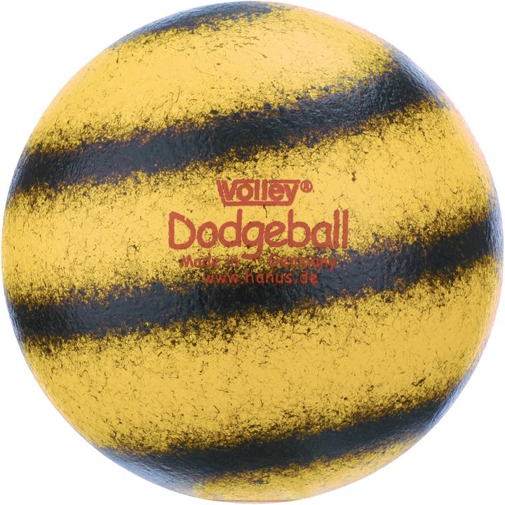 Produktbild Volley Weichschaumball Dodgeball