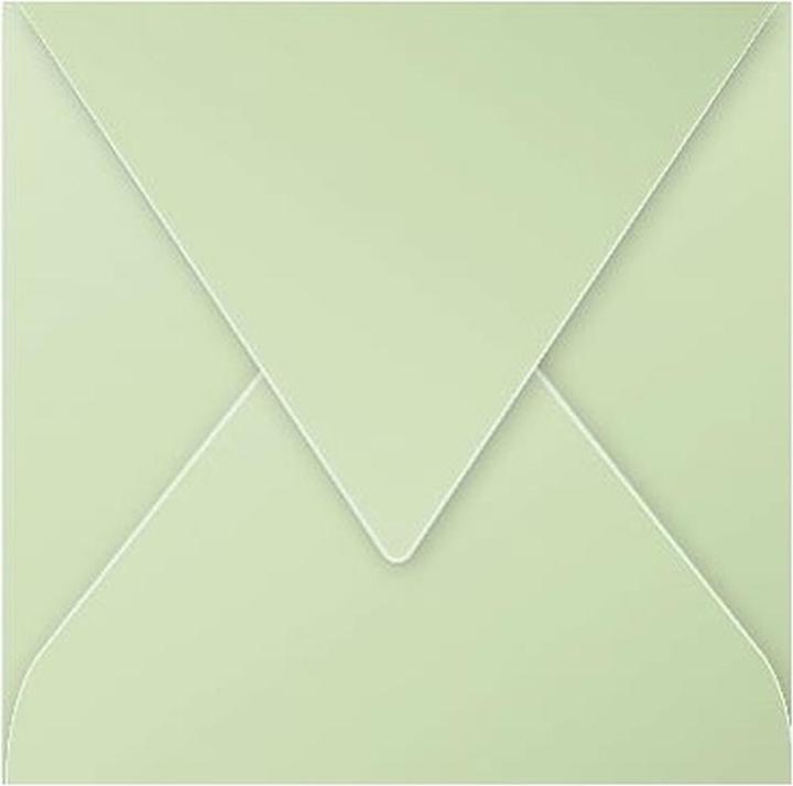 Actual product image Pollen Envelopes (140 x 140 mm, 20 x)