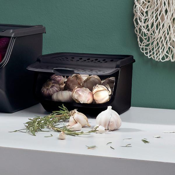 Actual product image Tupperware Garlic Smart (2.30 l)