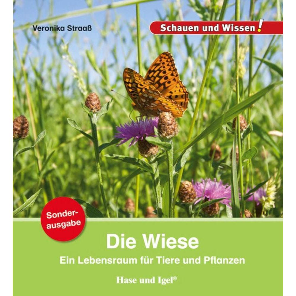 Thumbnail - Die Wiese / Sonderausgabe, Kinderbücher von Veronika Straass