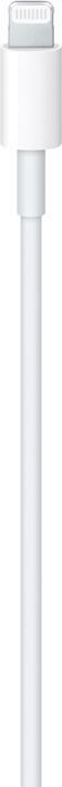 Produktbild - MX0K2ZM|A Lightning|Type-C Datenkabel Weiss (Masse) (1 m, USB 3.2 Gen 1, 96 W)