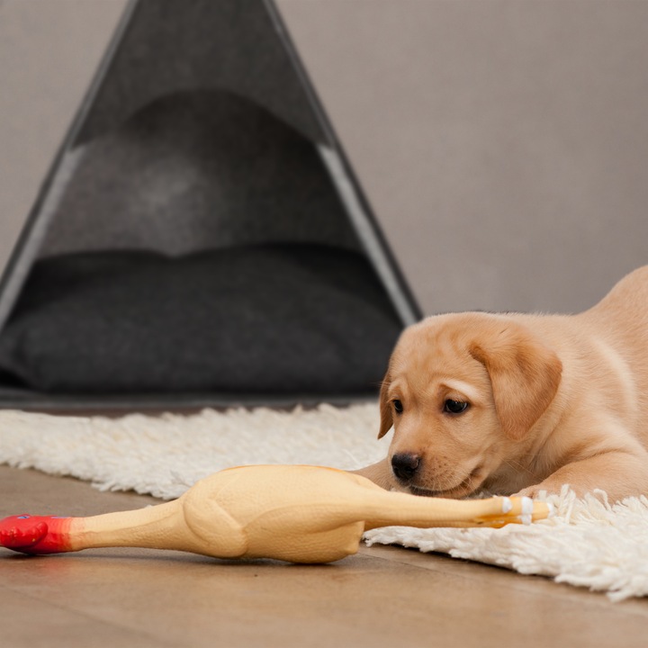 Actual product image Relaxdays Dog tent (Dog)
