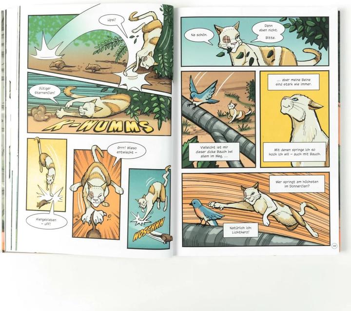 Actual product image Warrior Cats - Der Dieb des DonnerClans (German, James L., Dan Jolley, Erin Hunter, 2023)